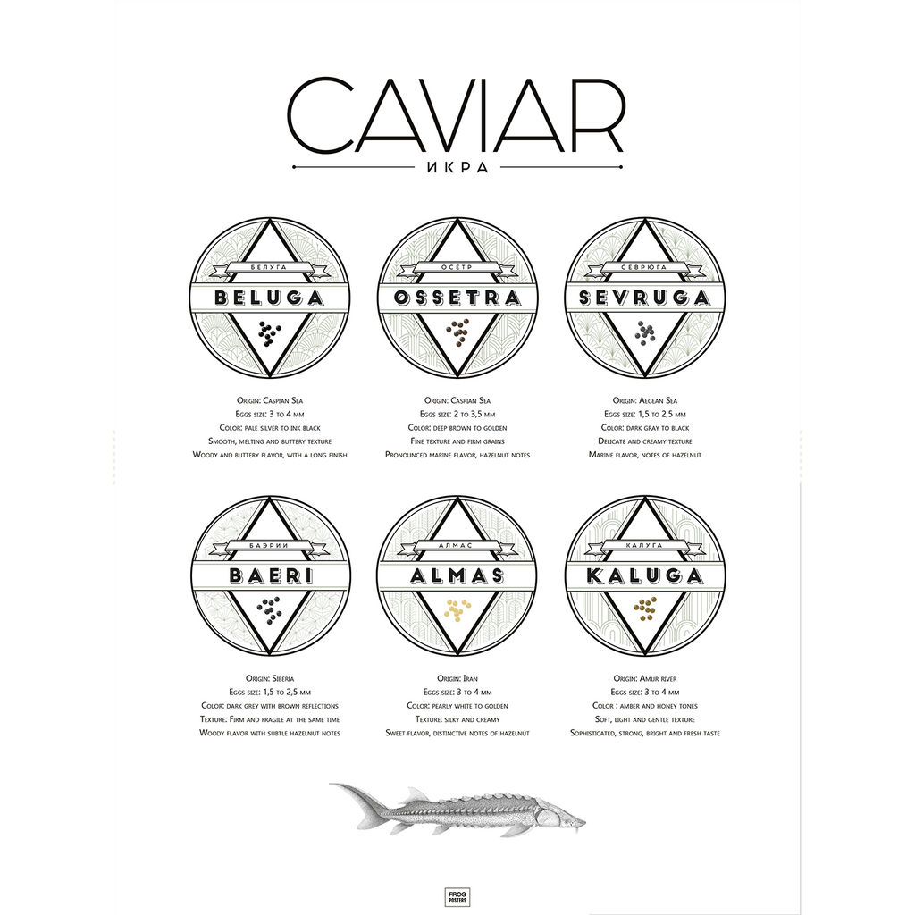The Ultimate Caviar Guide poster – illustrated guide to caviar varieties and origins, framed print by Frog Posters