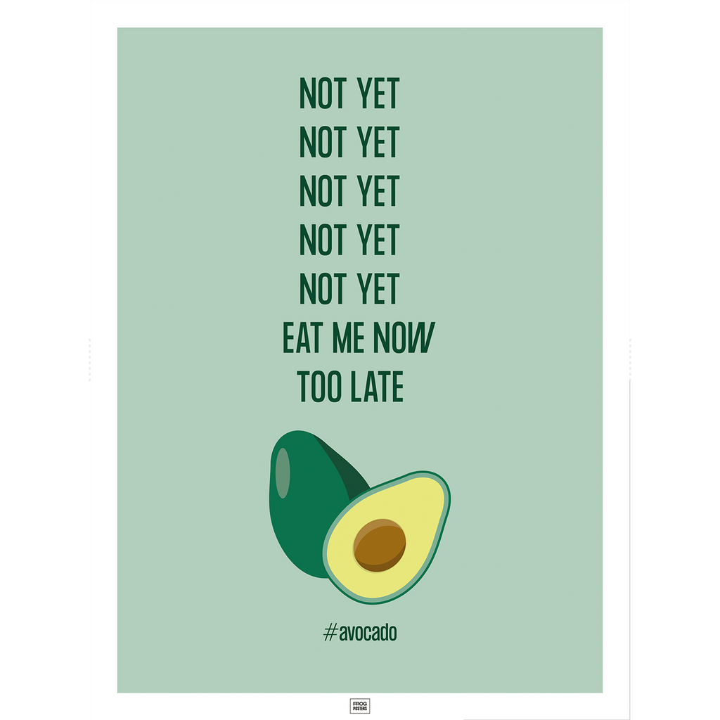 Funny Avocado poster – humorous illustrated art print by Frog Posters
