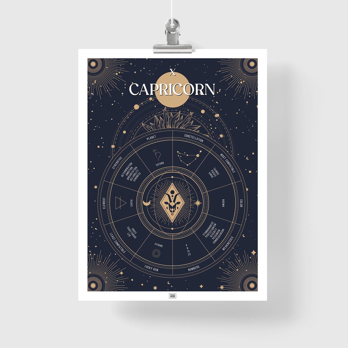 capricorn Zodiac Sign Poster

