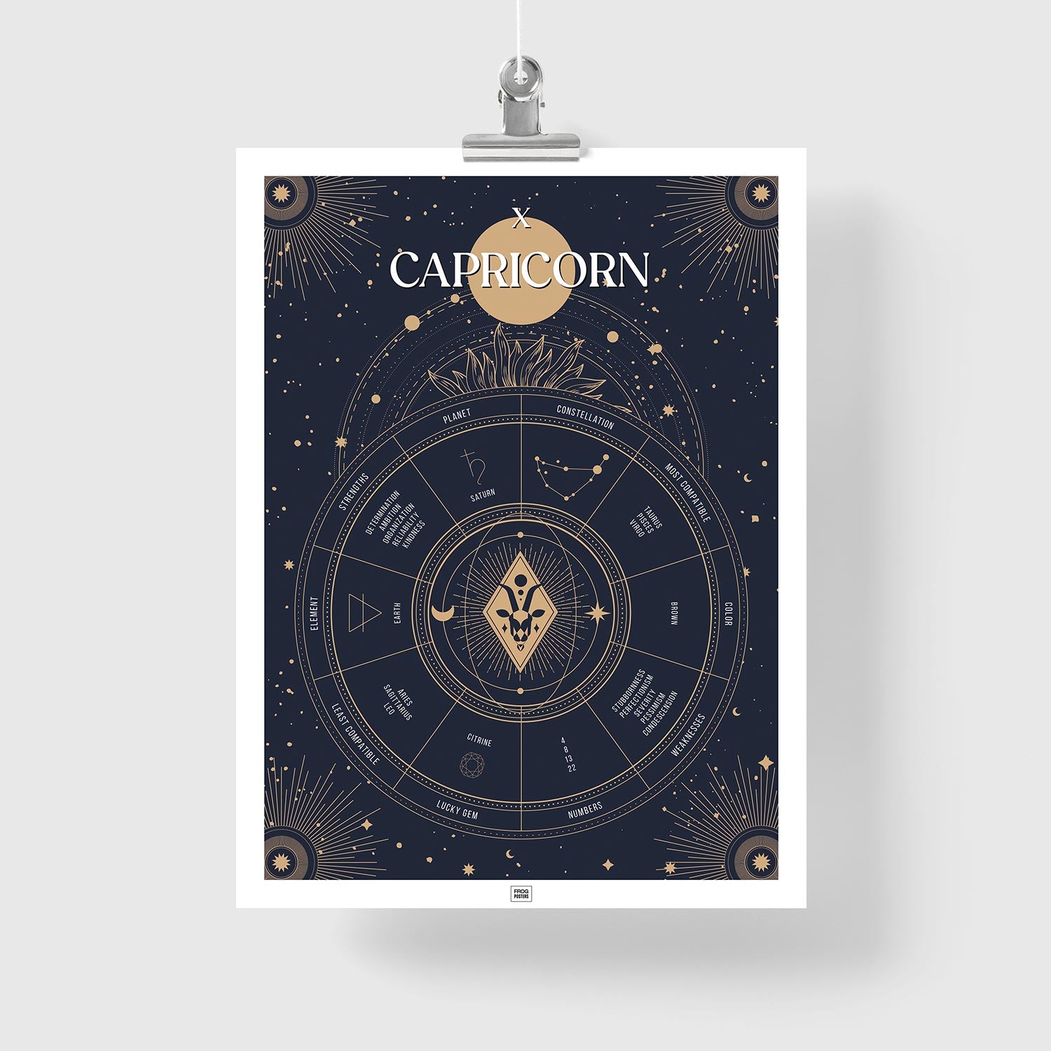 capricorn Zodiac Sign Poster
