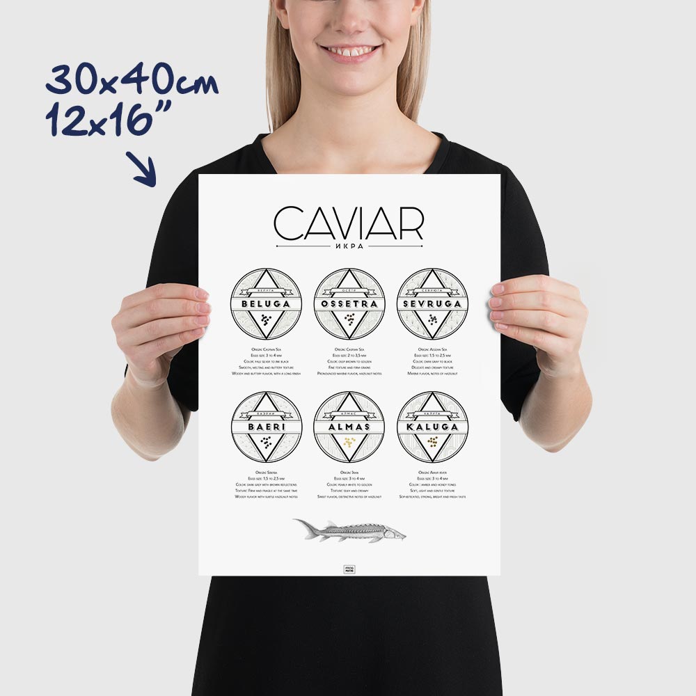 Caviar Poster: The Ultimate Caviar Guide, dimensions 30x40 cm - 12x16"
