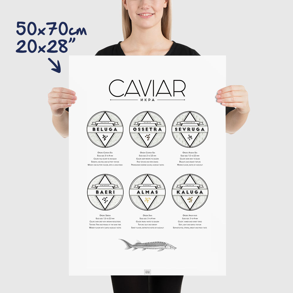 Caviar Poster: The Ultimate Caviar Guide, dimensions 50x70 cm - 20x28"
