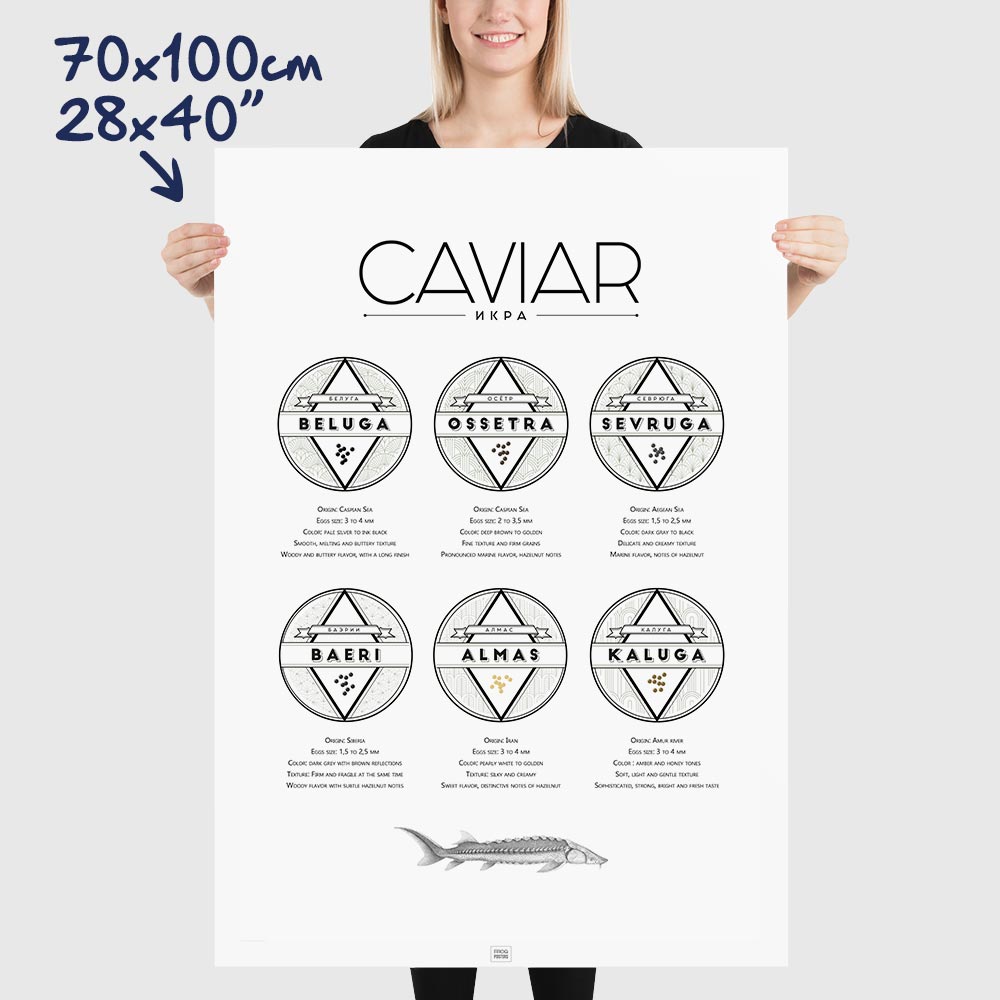 Caviar Poster: The Ultimate Caviar Guide, dimensions 70x100 cm - 28x40"
