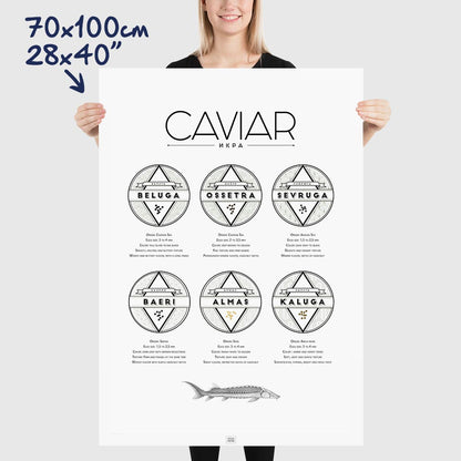 Caviar Poster: The Ultimate Caviar Guide, dimensions 70x100 cm - 28x40"

