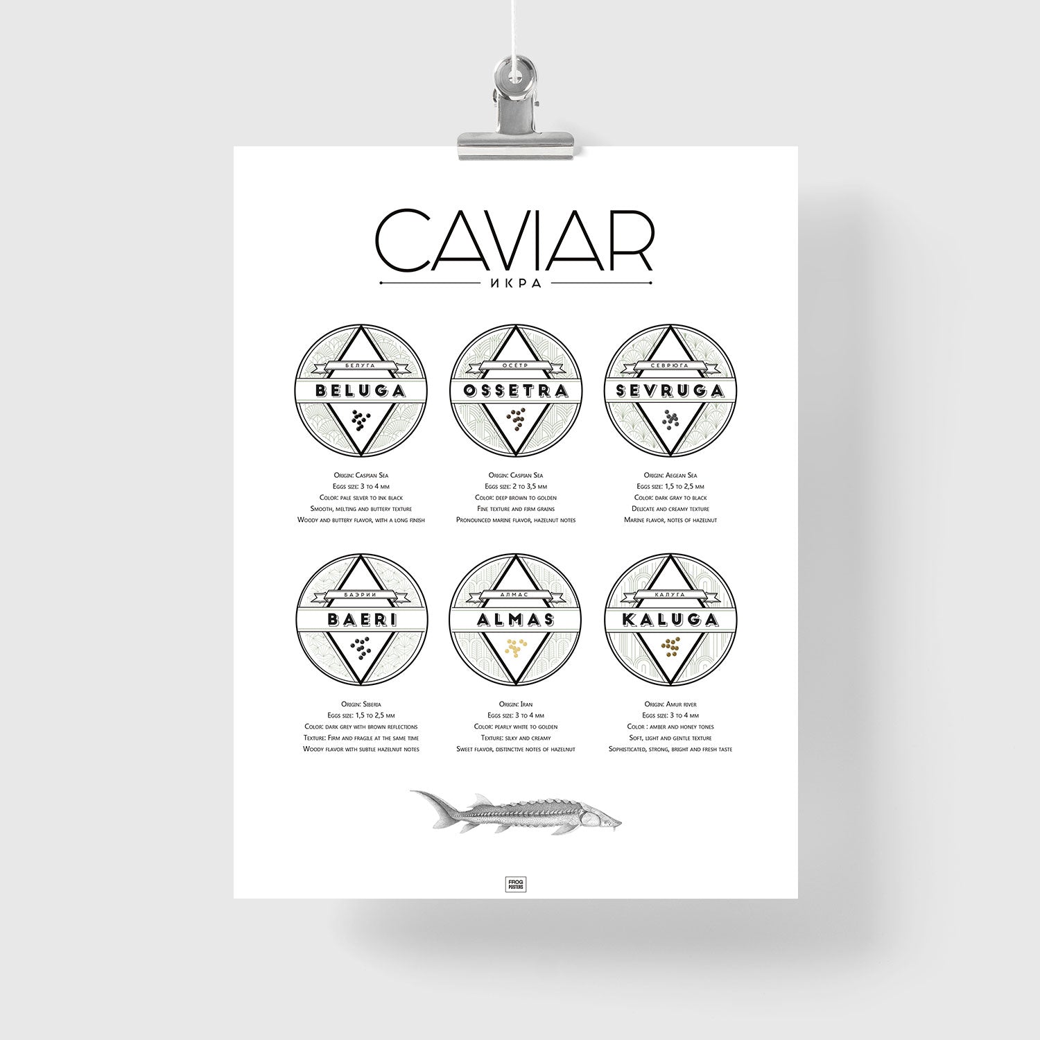 Caviar Poster: The Ultimate Caviar Guide
