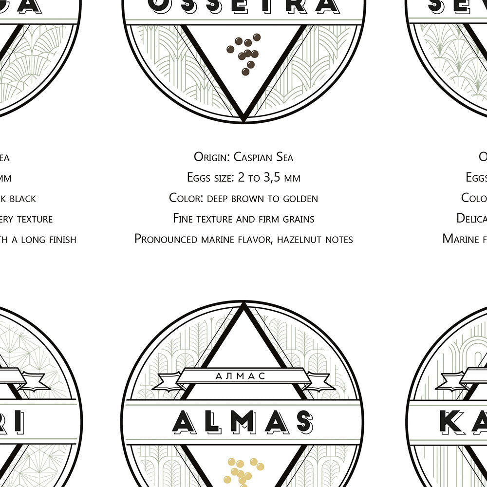 Caviar Poster: The Ultimate Caviar Guide, zoom
