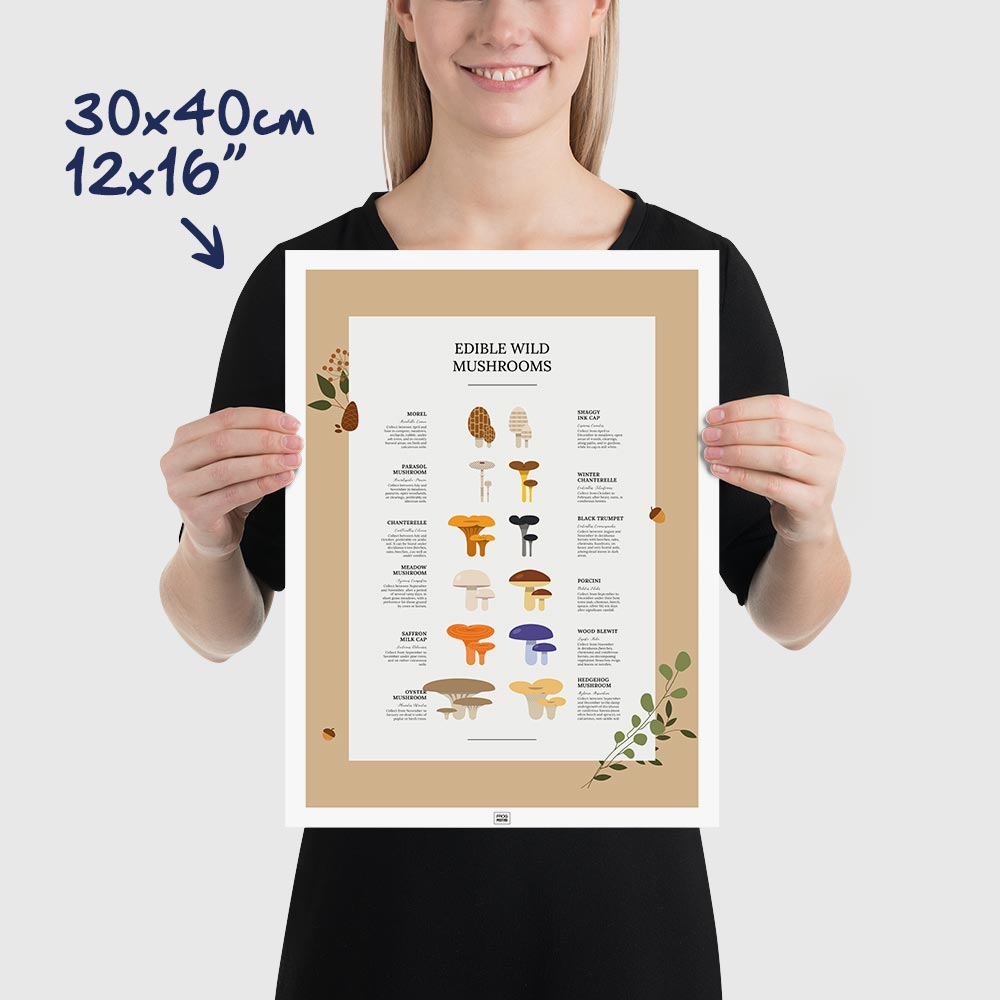 Edible Wild Mushrooms Poster, dimensions 30x40 cm - 12x16"
