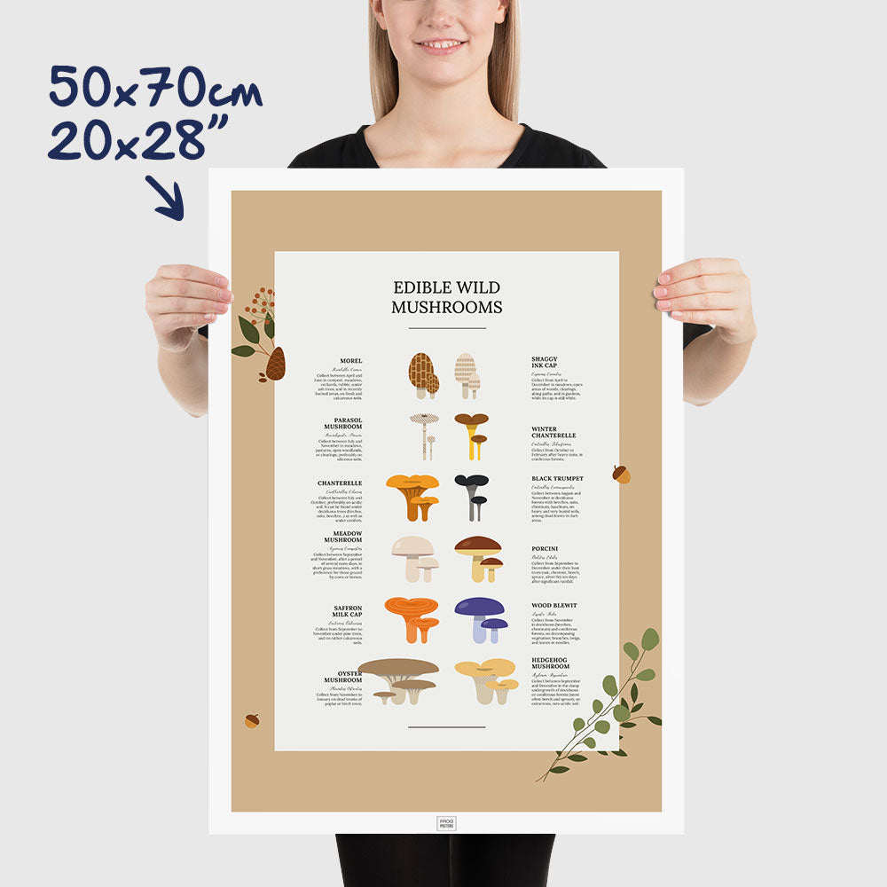 Edible Wild Mushrooms Poster, dimensions 50x70 cm - 20x28"
