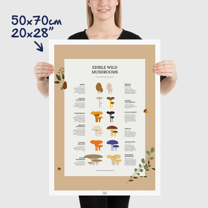 Edible Wild Mushrooms Poster, dimensions 50x70 cm - 20x28"
