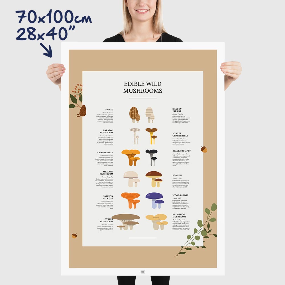 Edible Wild Mushrooms Poster, dimensions 70x100 cm - 28x40"
