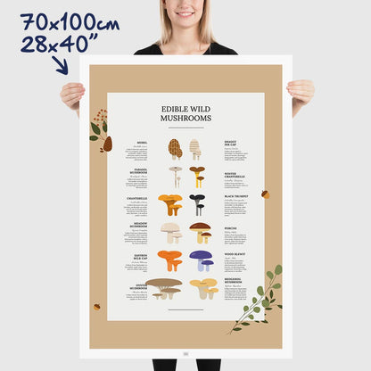 Edible Wild Mushrooms Poster, dimensions 70x100 cm - 28x40"
