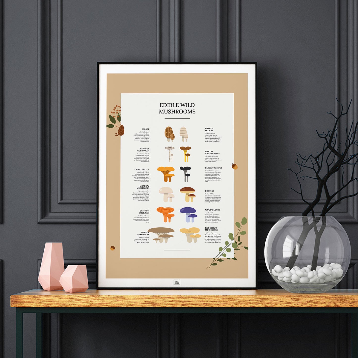 Edible Wild Mushrooms Poster, on a dark background
