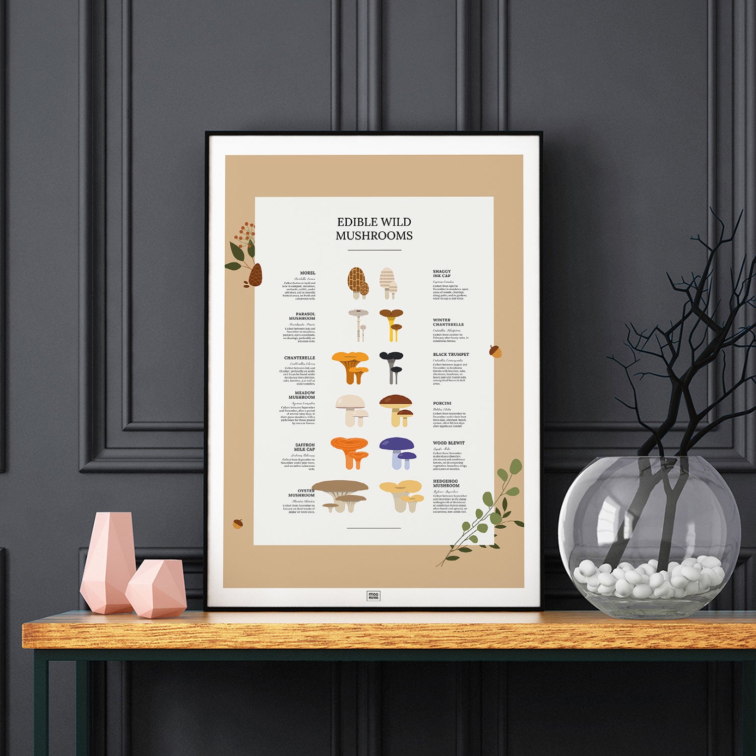 Edible Wild Mushrooms Poster, on a dark background
