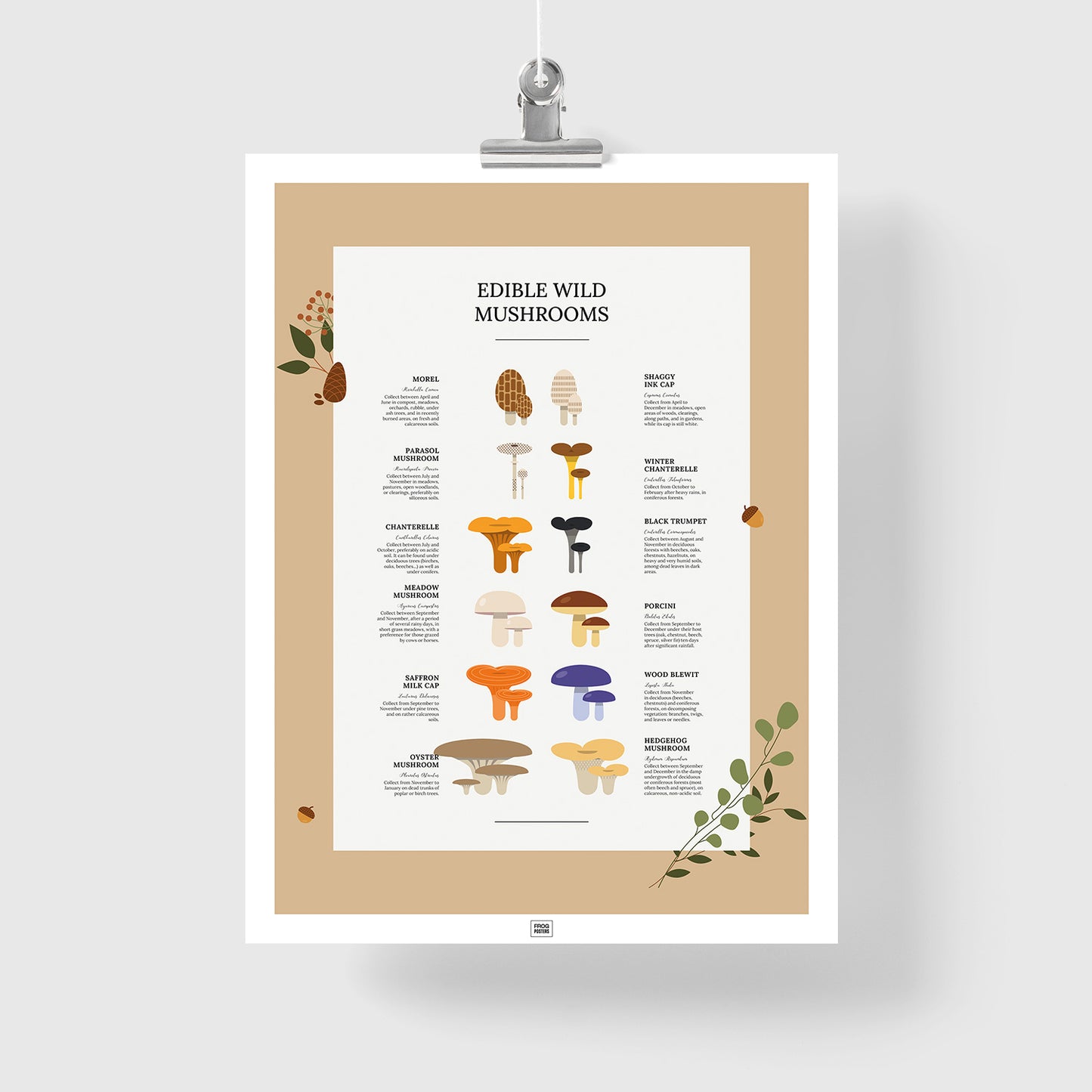 Edible Wild Mushrooms Poster
