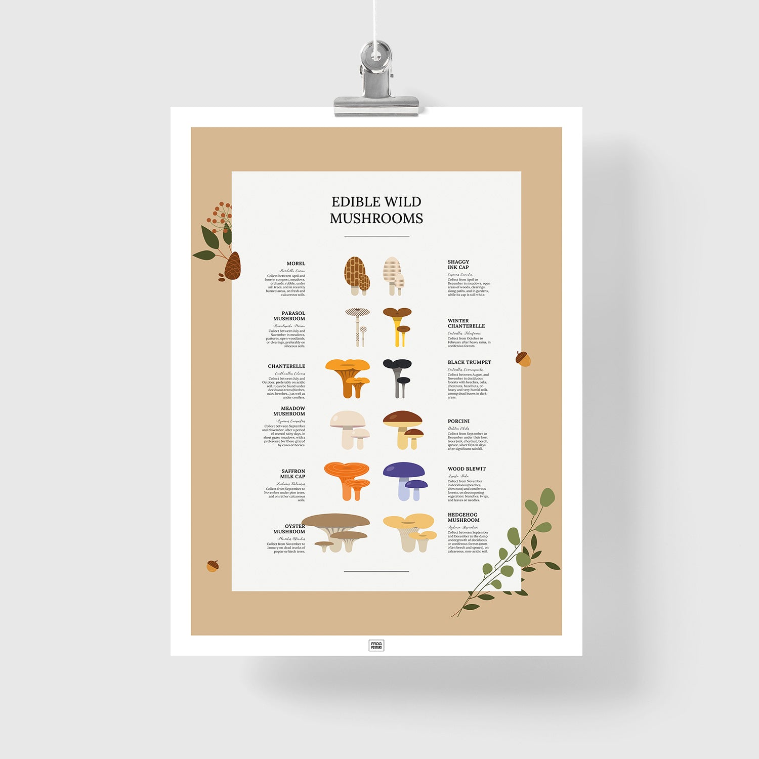 Edible Wild Mushrooms Poster
