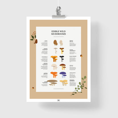 Edible Wild Mushrooms Poster
