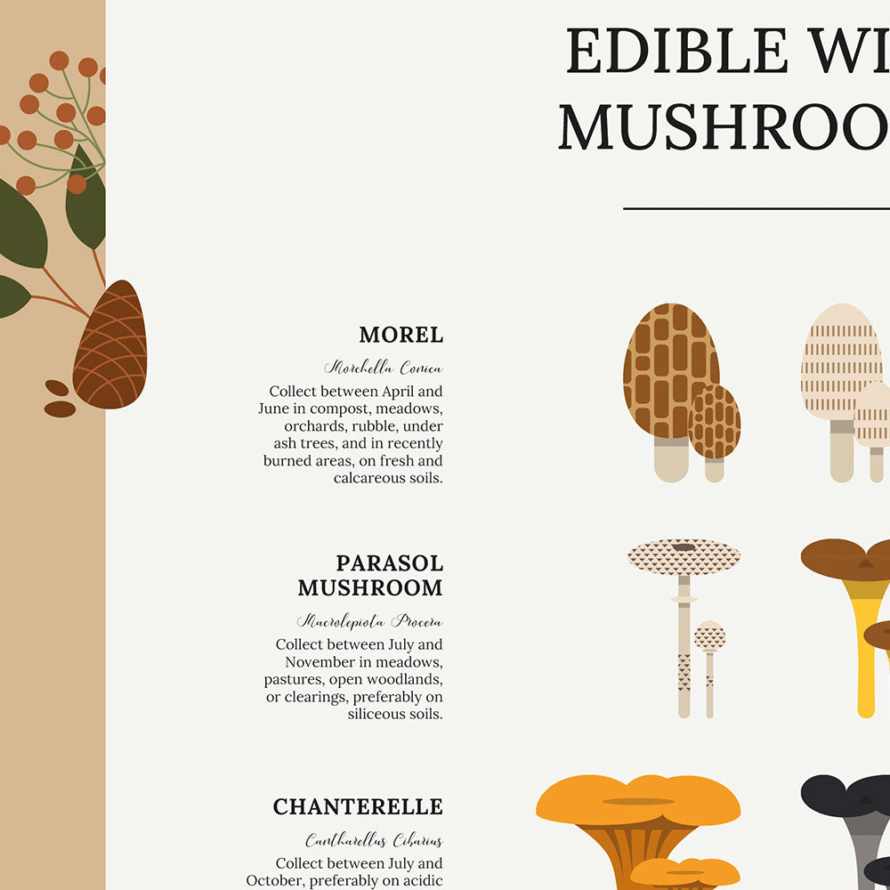 Edible Wild Mushrooms Poster, zoom
