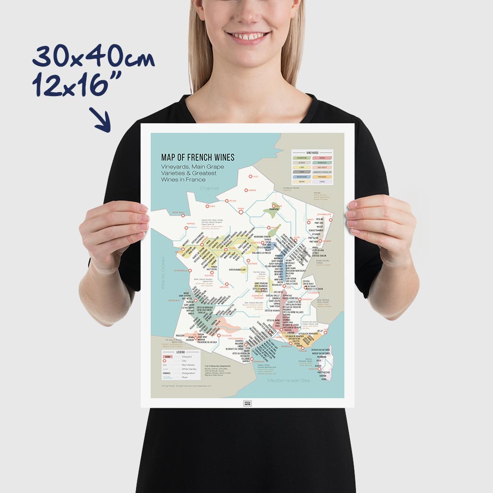 Wine Map of France and Grape Varieties, vintage poster, dimensions 30x40 cm - 12x16"
