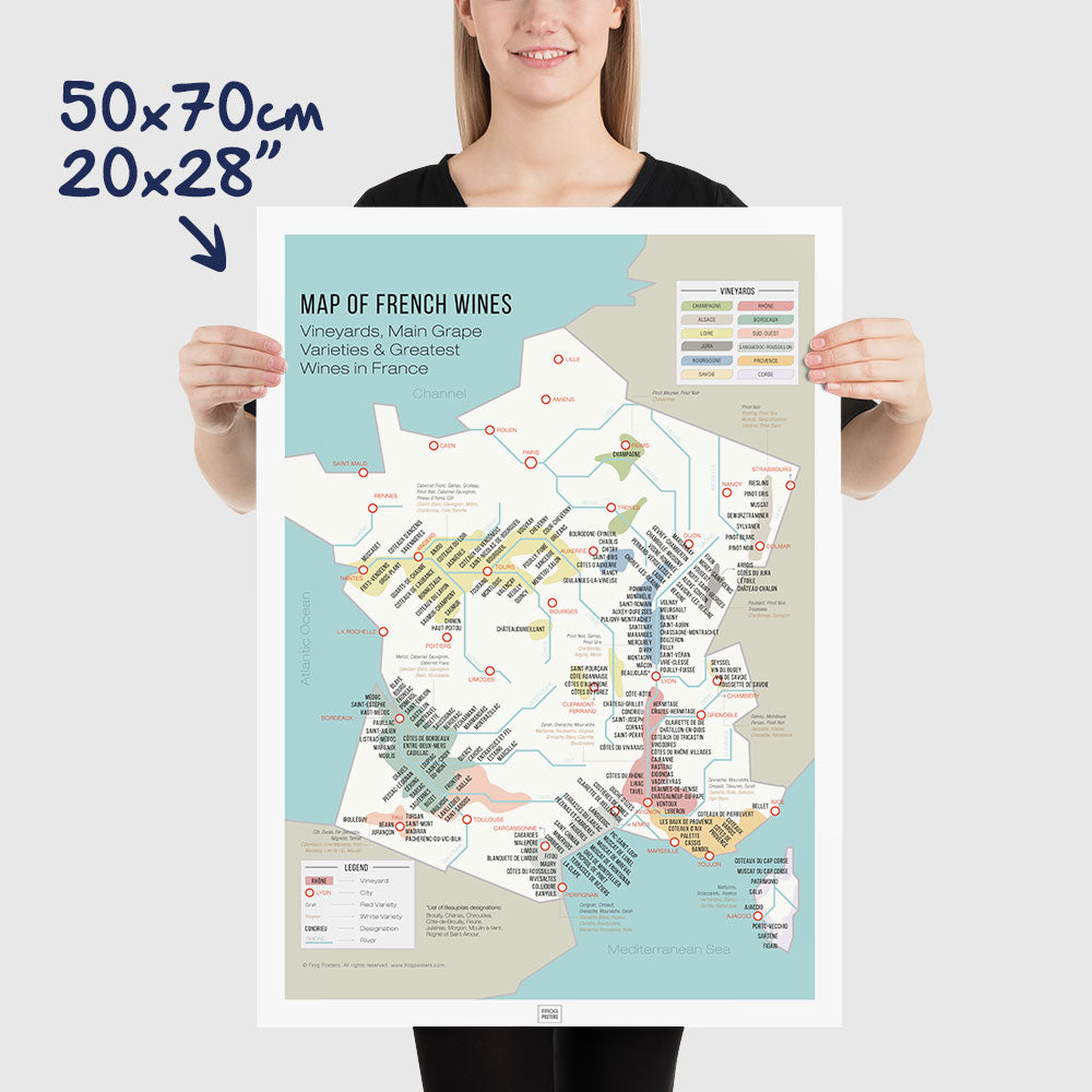 Wine Map of France and Grape Varieties, vintage poster, dimensions 50x70 cm - 20x28"
