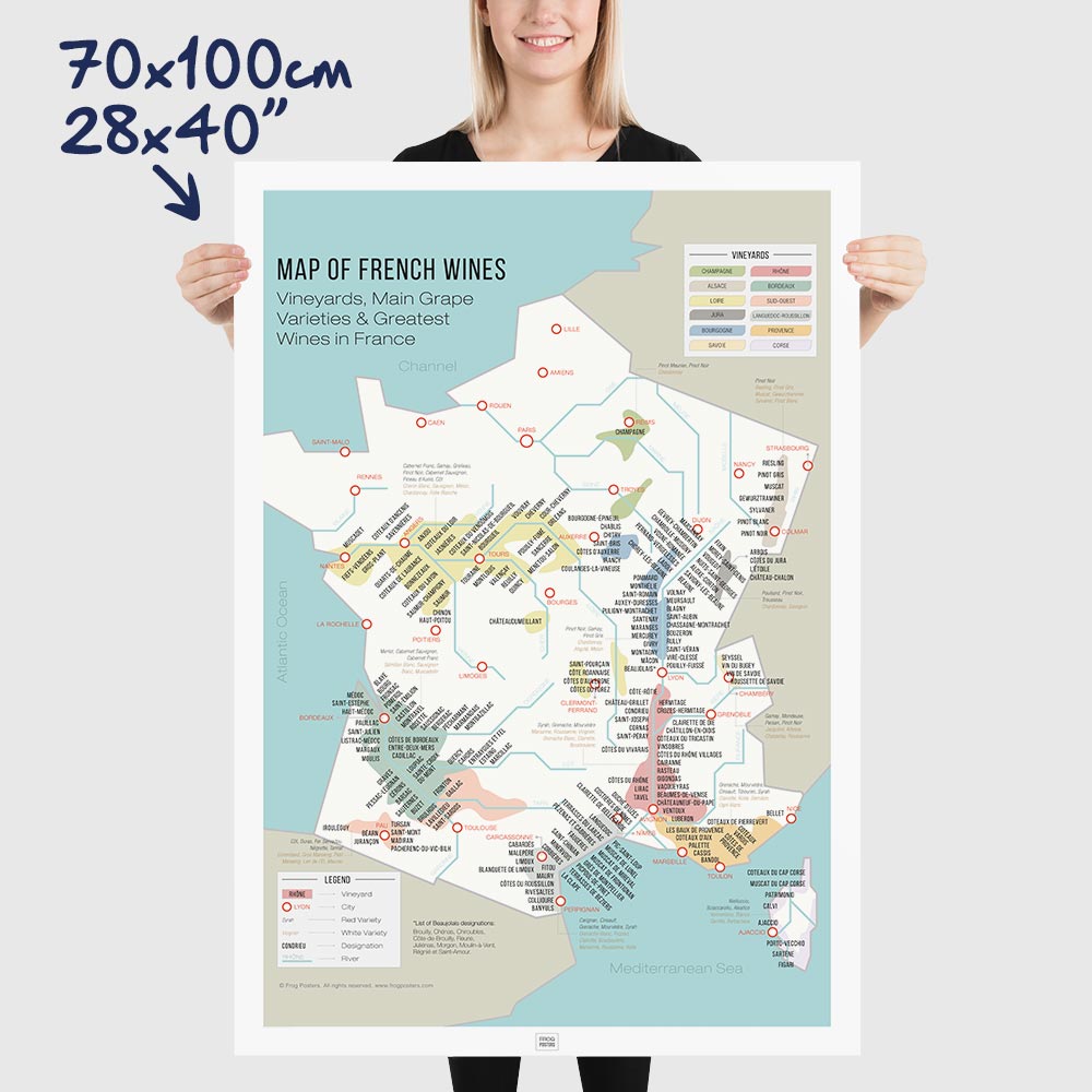 Wine Map of France and Grape Varieties, vintage poster, dimensions 70x100 cm - 28x40"
