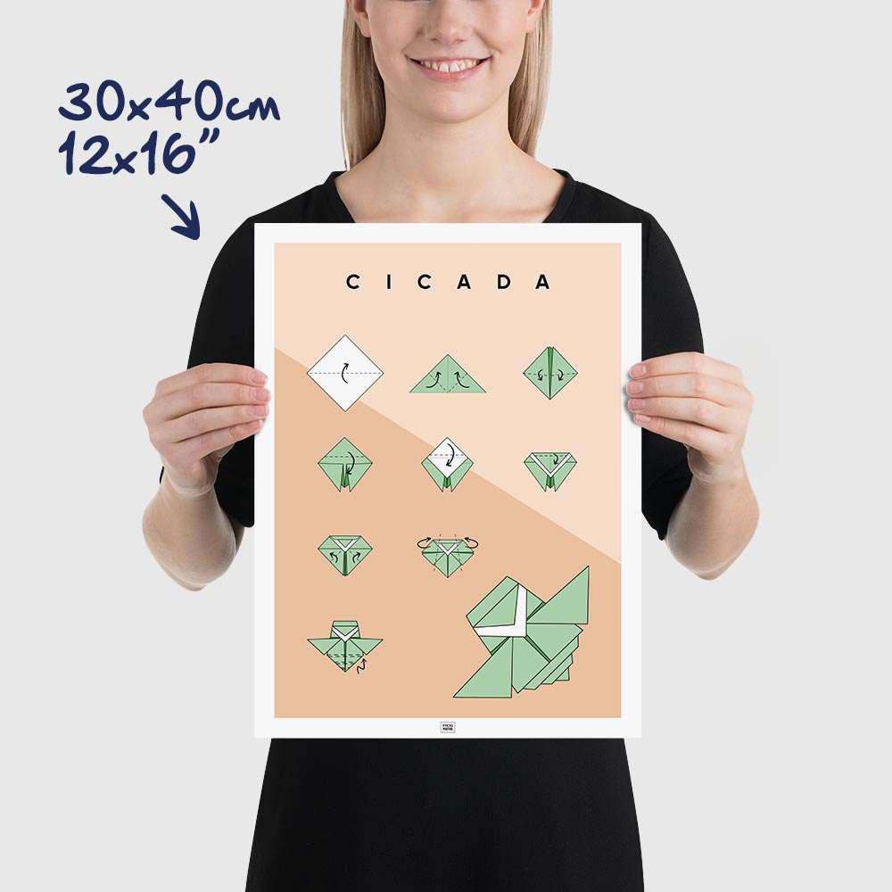 Origami cicada Poster, dimensions 30x40 cm - 12x16"
